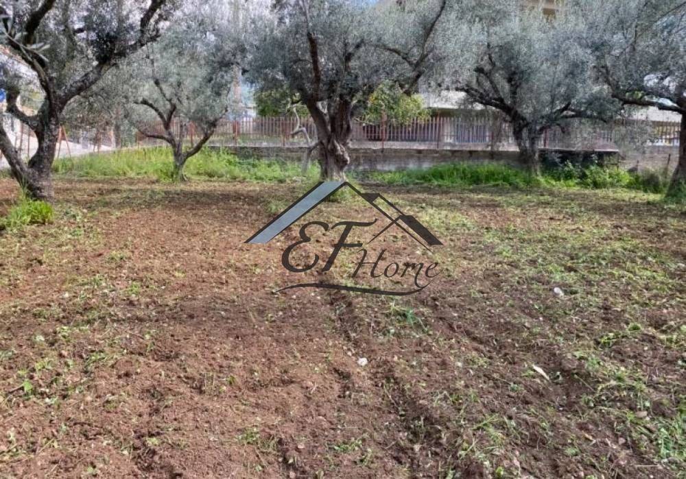 Άποψη οικοπέδου