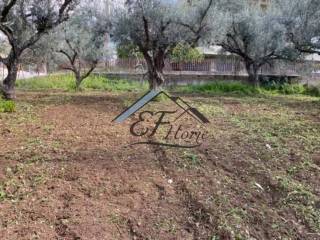 Άποψη οικοπέδου