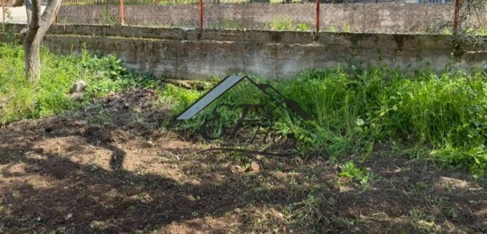 Άποψη οικοπέδου