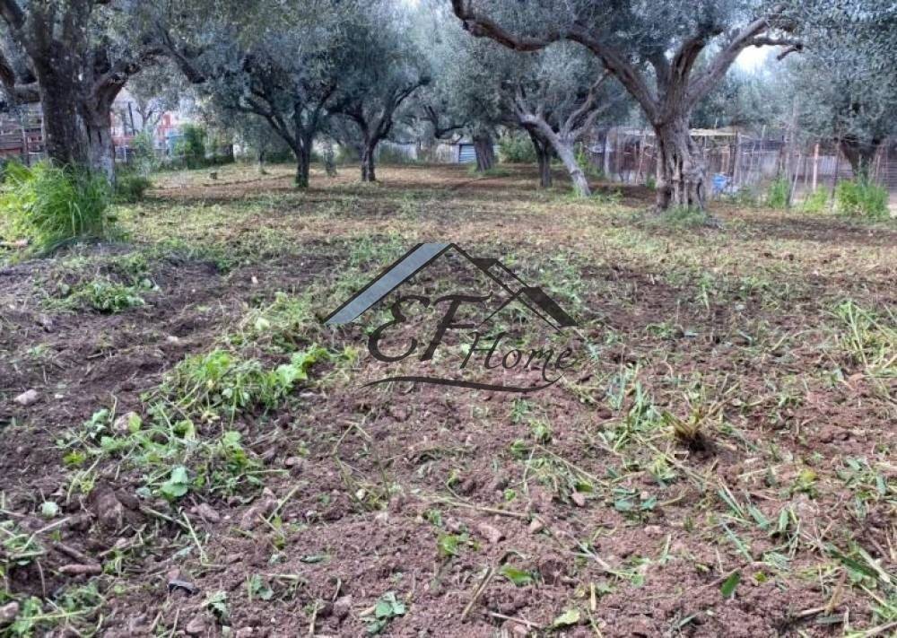 Άποψη οικοπέδου