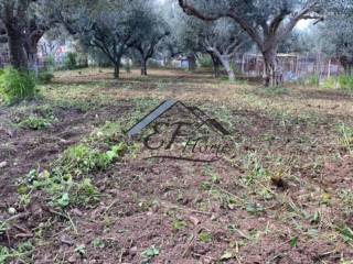 Άποψη οικοπέδου