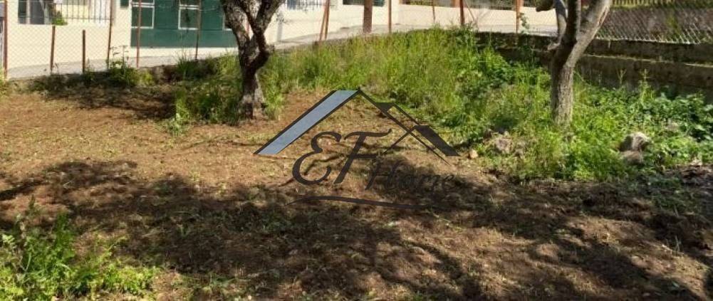 Άποψη οικοπέδου