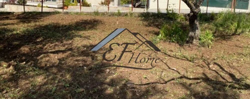 Άποψη οικοπέδου