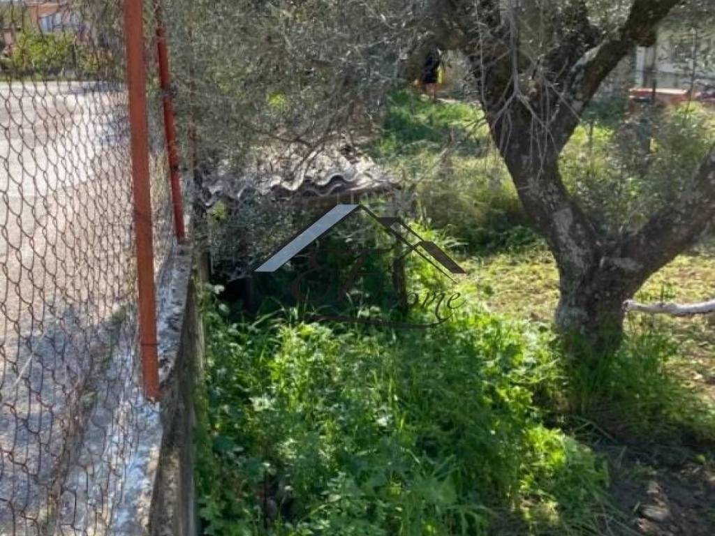 Άποψη οικοπέδου