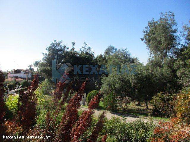 ΑΝΟΙΧΤΩΣΙΑ