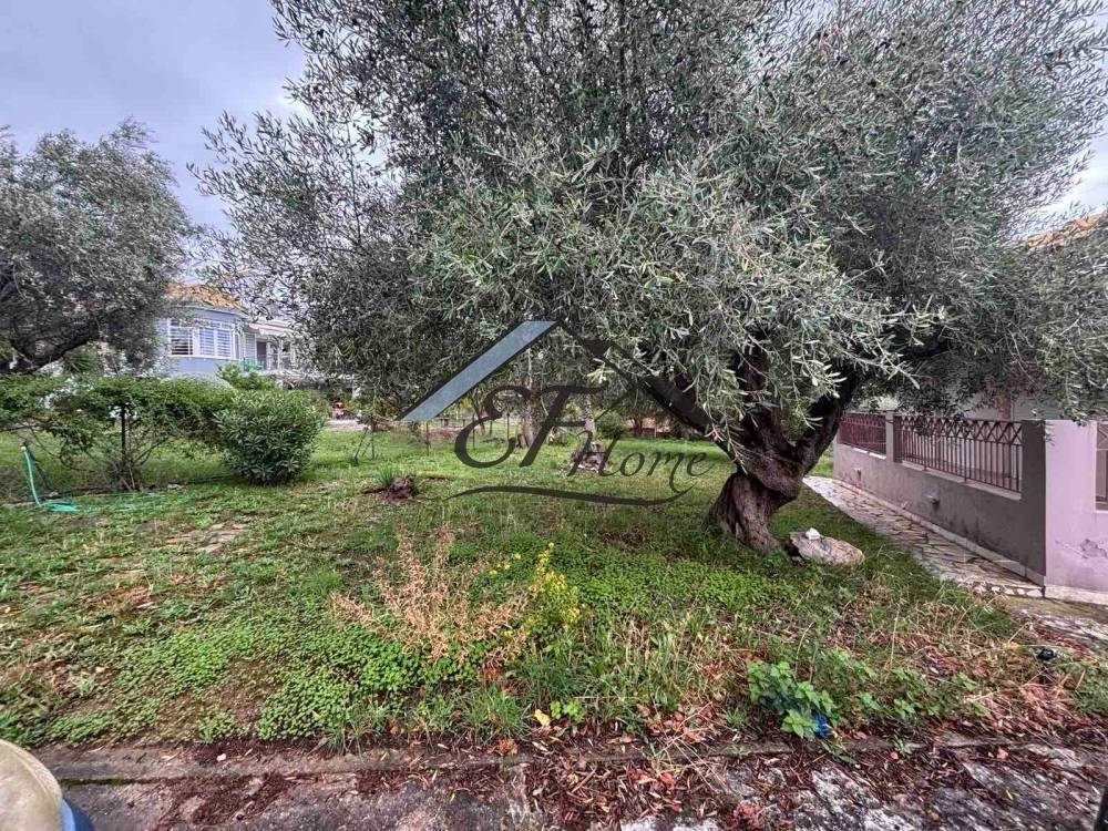 Εξωτερικά διαμορφωμένος χώρος