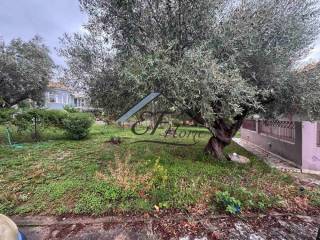 Εξωτερικά διαμορφωμένος χώρος