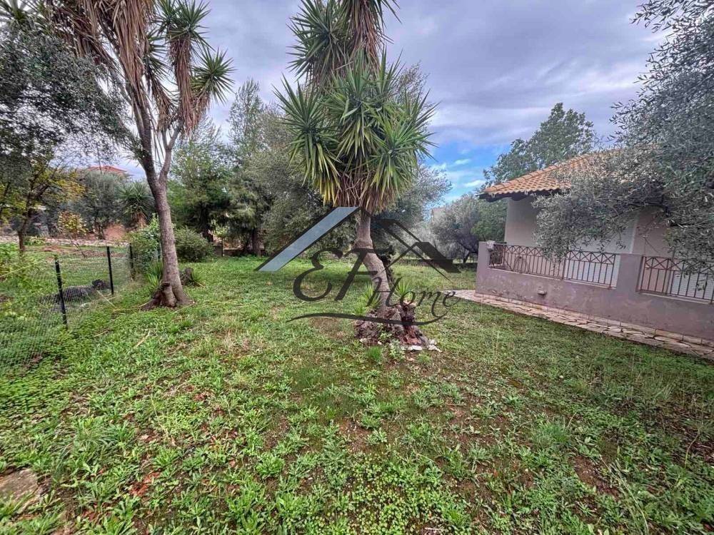 Εξωτερικά διαμορφωμένος χώρος