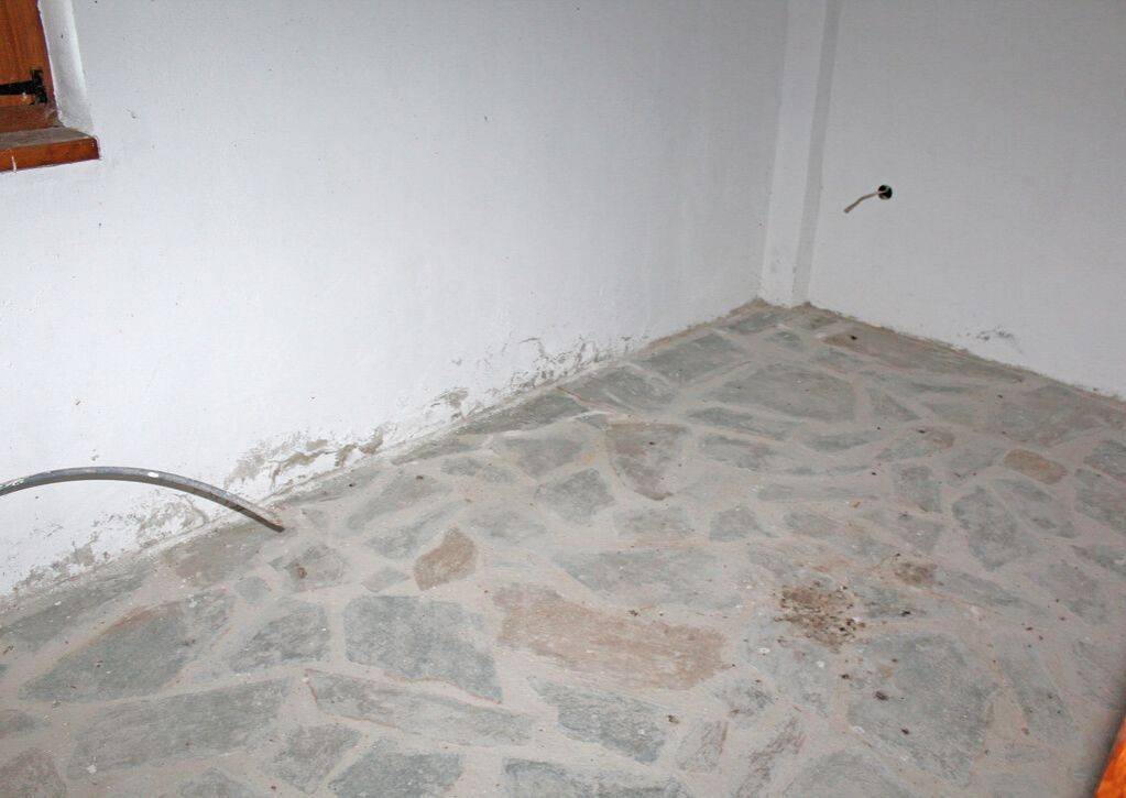 Apartment - Grekodom 64563|1022026