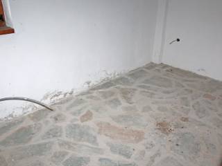 Apartment - Grekodom 64563|1022026