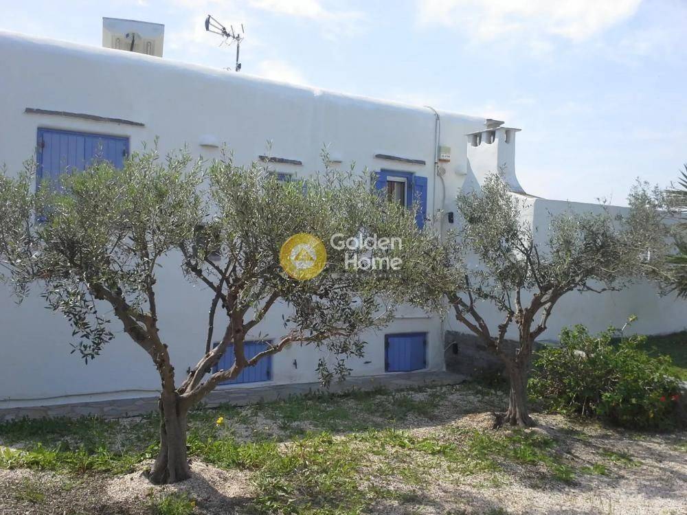 Εξωτερικός Χώρος