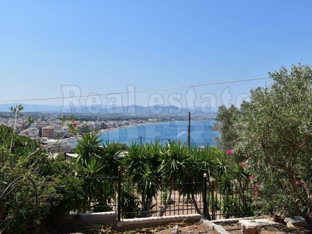 ΚΗΠΟΣ ΜΕ ΘΕΑ ΘΑΛΑΣΣΑ