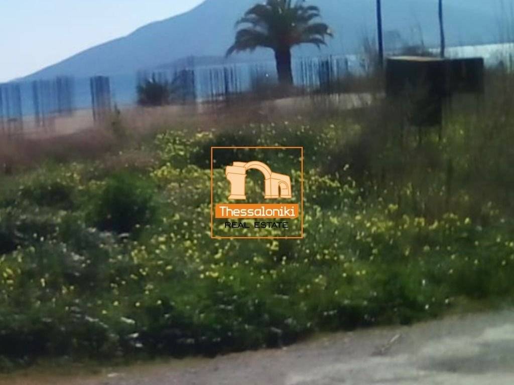 Παράλιο Άστρος, Οικόπεδο, 2.020 τ.μ.