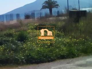 Παράλιο Άστρος, Οικόπεδο, 2.020 τ.μ.