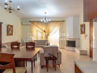 Σαλοκουζίνα