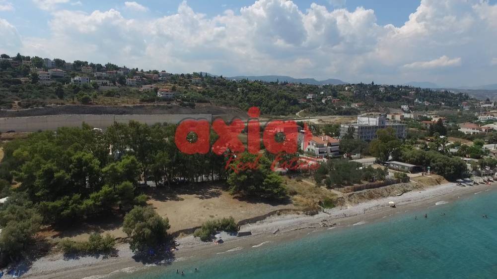 Ξυλόκαστρο, Μελίσσι: Πωλείται μοναδικό