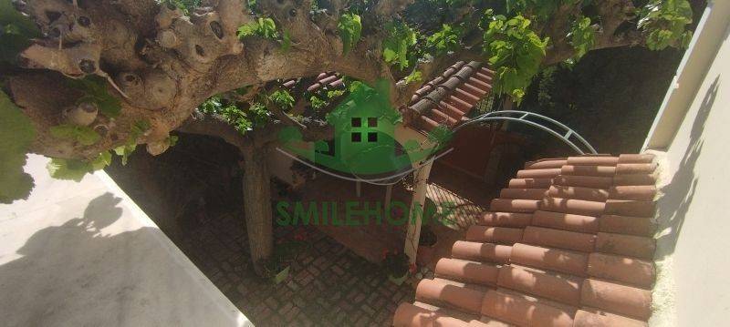 Ύπαρξη ανθρώπου