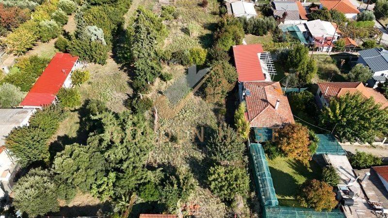 Ύπαρξη ανθρώπου