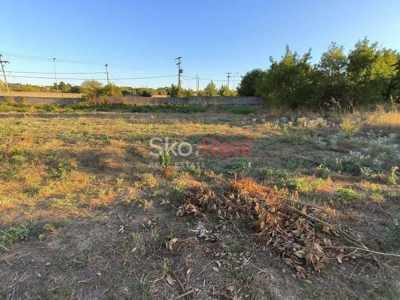 Αγροτεμάχιο