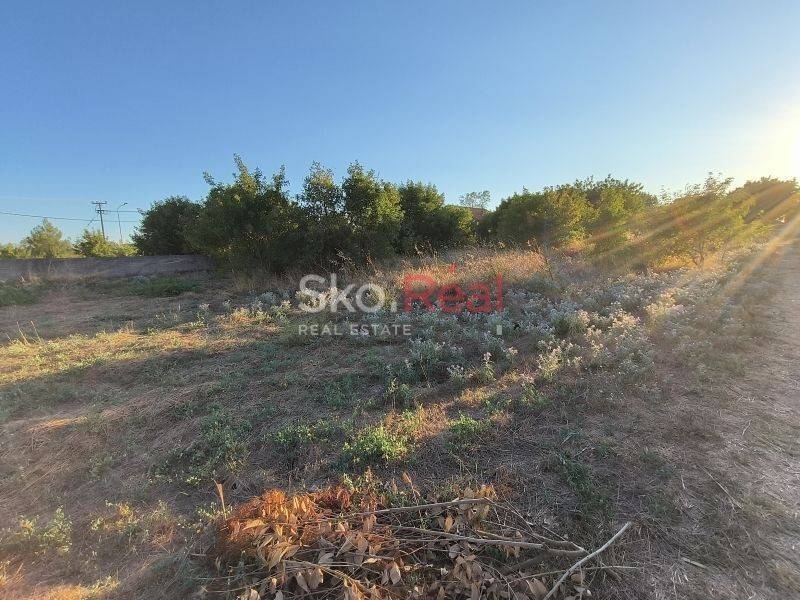 Αγροτεμάχιο