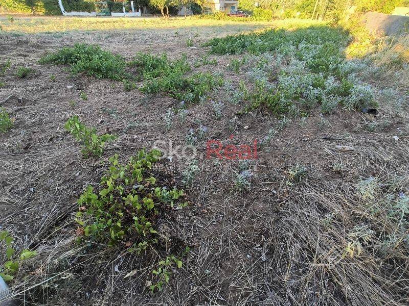 Αγροτεμάχιο