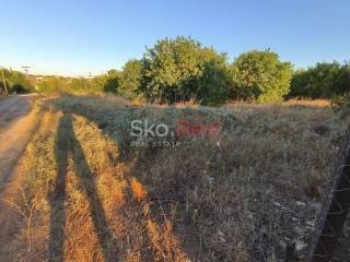 Αγροτεμάχιο