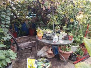 Εξωτερικός Χώρος