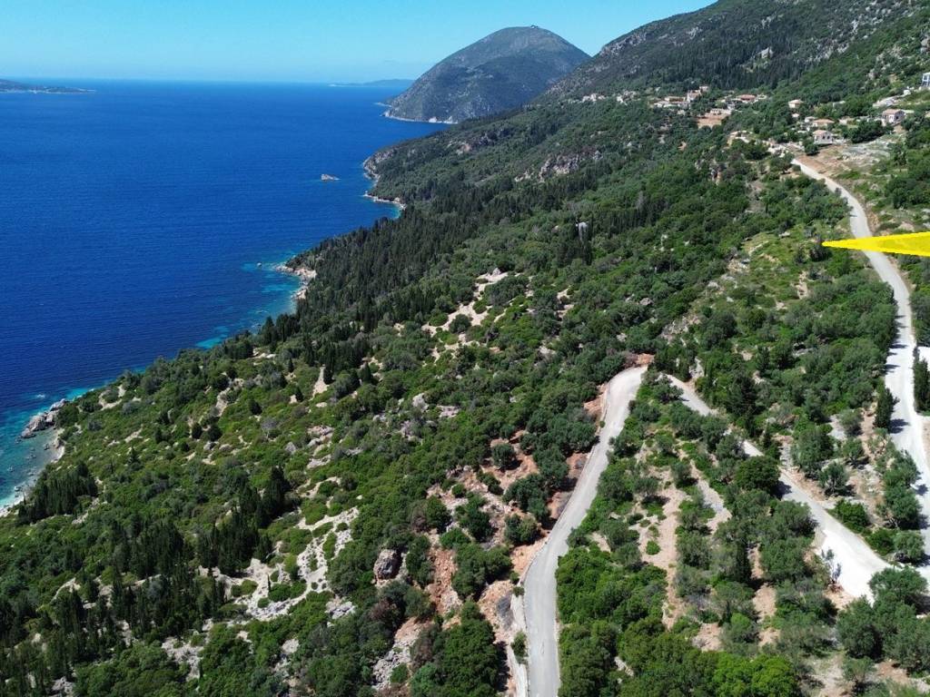 Aerial view and location of the plot