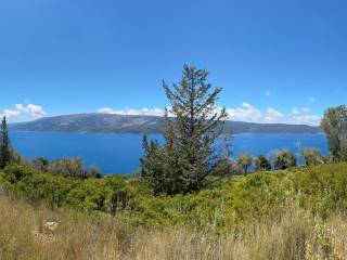Panoramic view from the plot