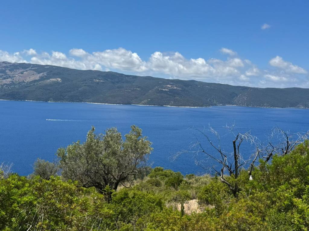 Sea views from the plot