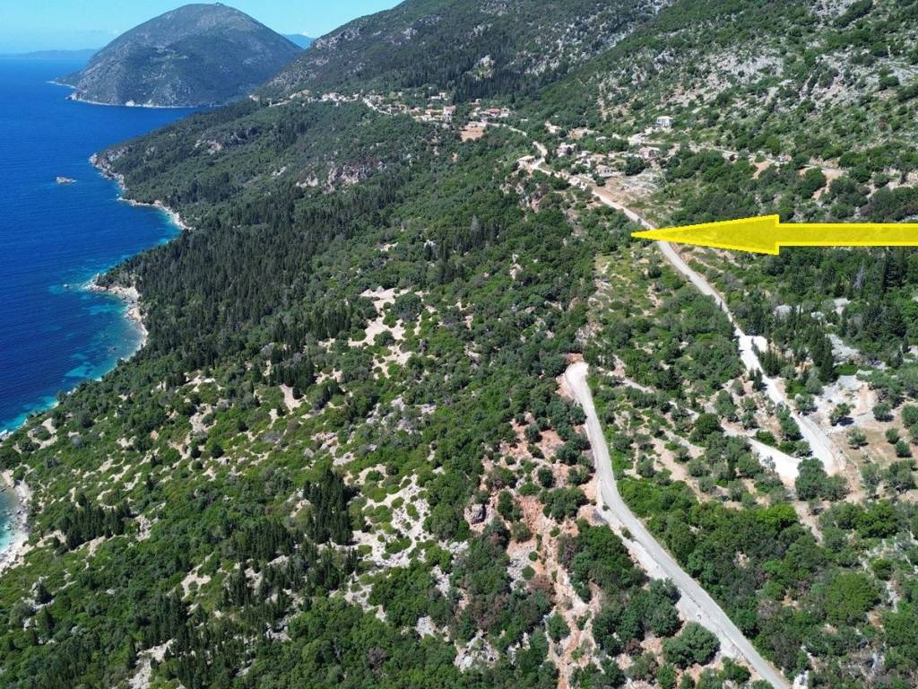 Aerial view and location of the plot