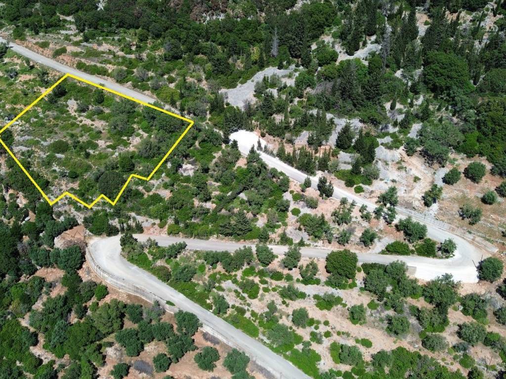 Plot with the border outlined