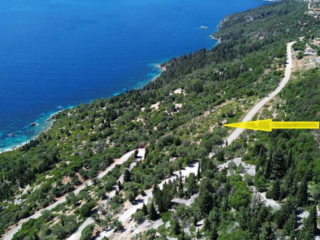 Aerial view and location of the plot