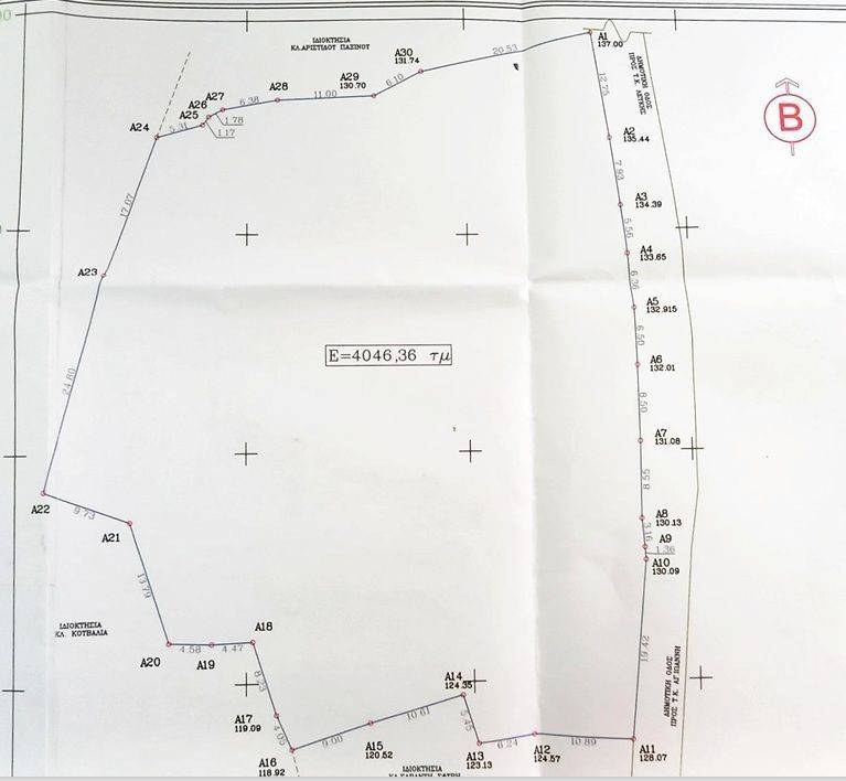 Survey diagram of the plot