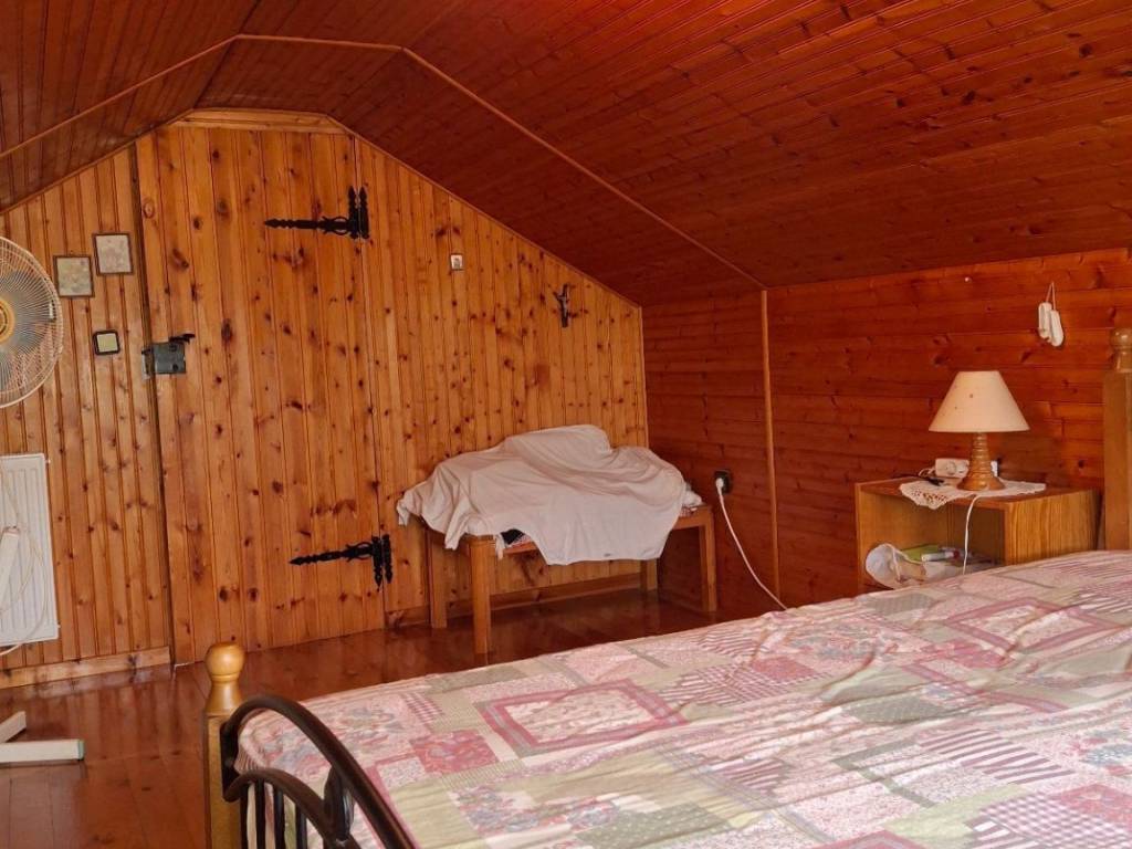 Krebatokamara sophitas 1