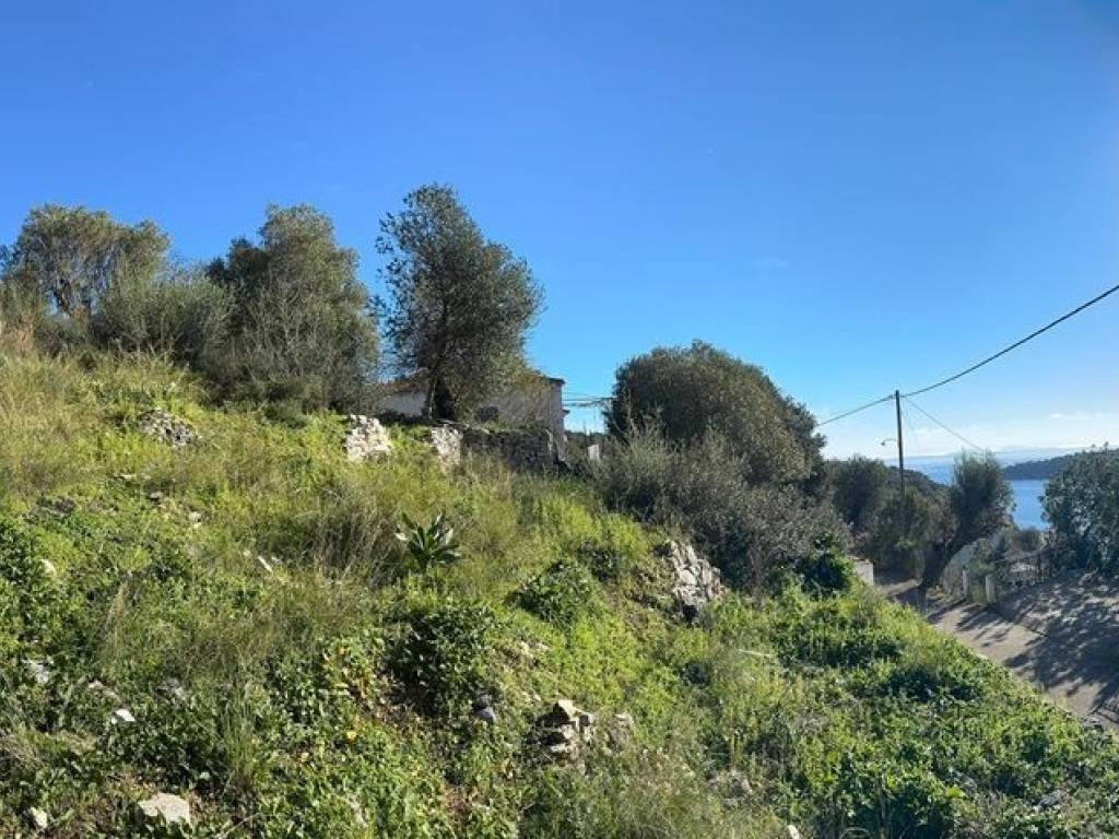 Panoramic view of the land