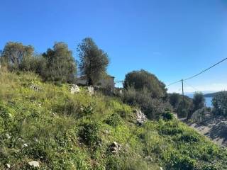 Panoramic view of the land