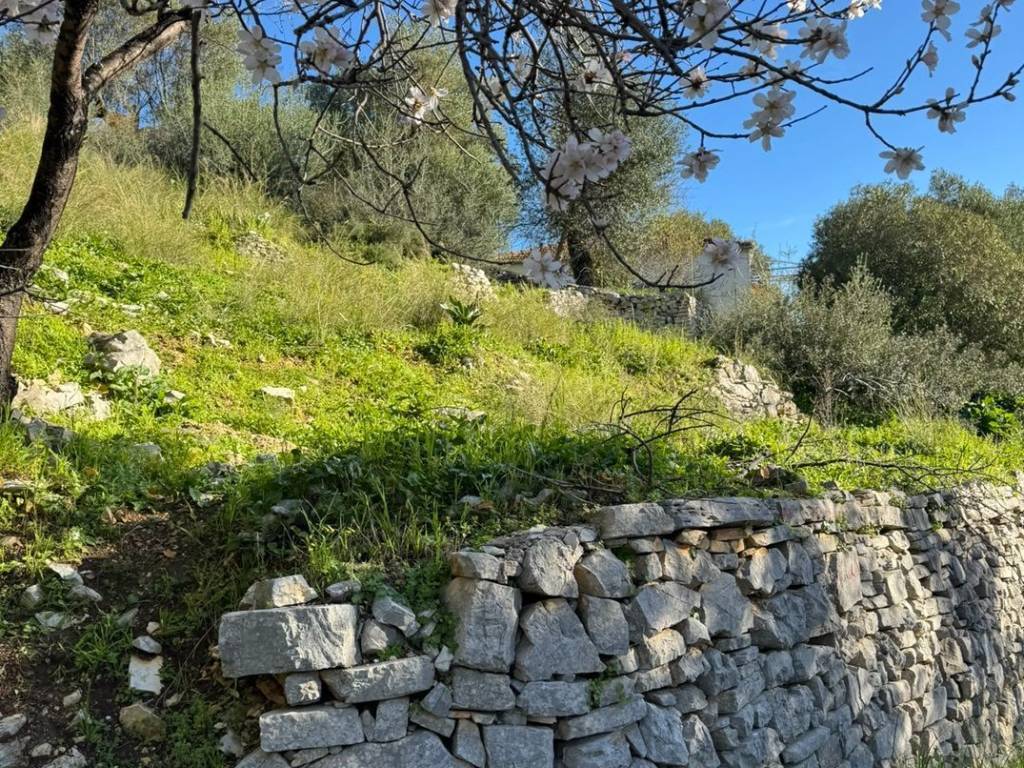 Terrain and landscape