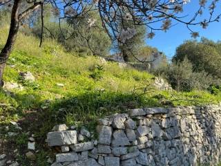 Terrain and landscape