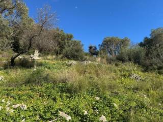 Terrain and landscape