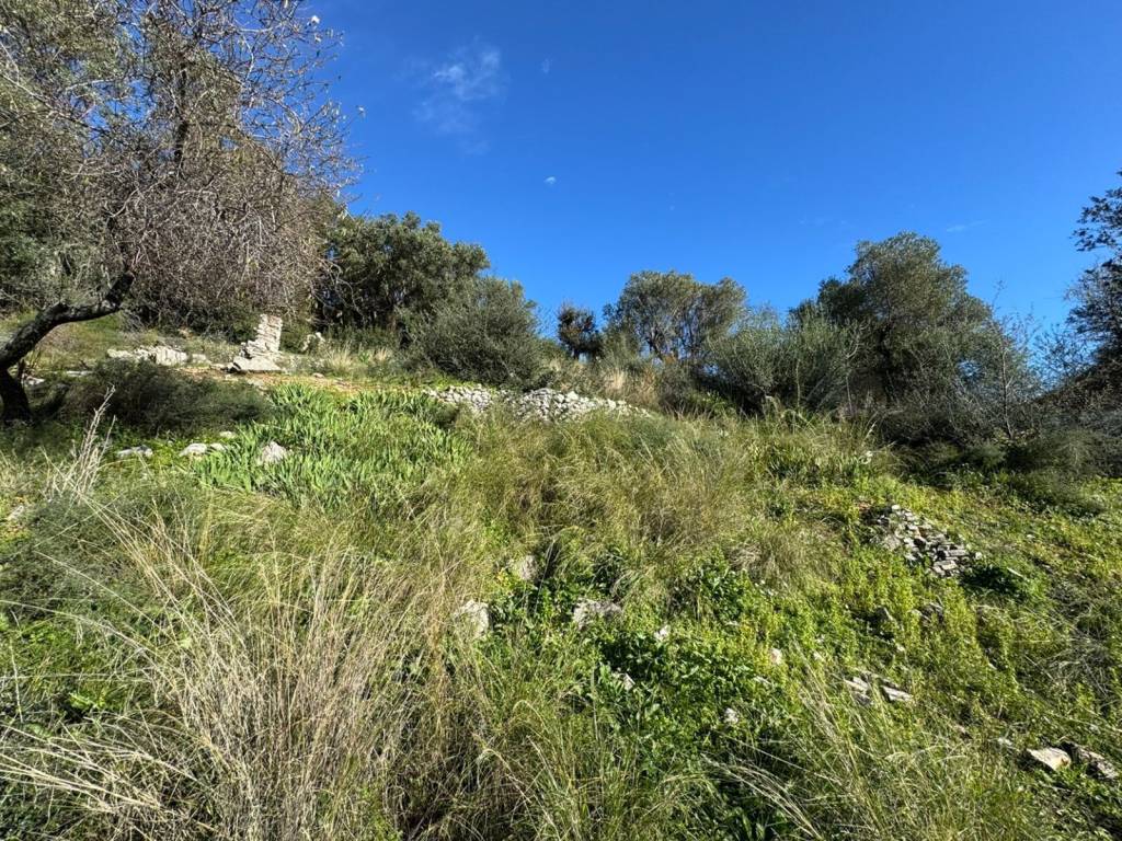 Terrain and landscape