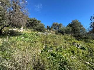 Terrain and landscape