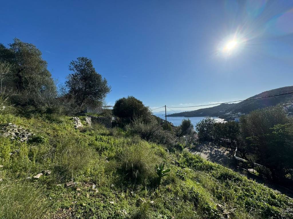 Landscape and views of the plot