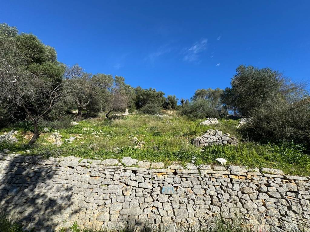 Terrain and landscape