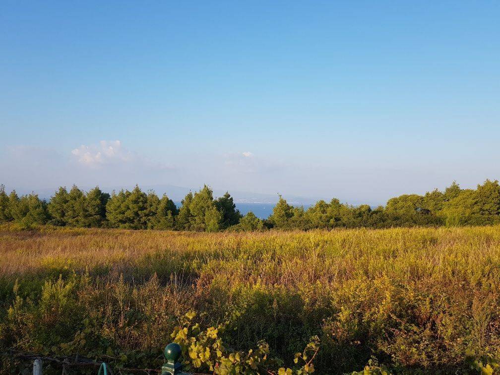 Detached - Grekodom 33651|512122