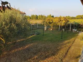 Detached - Grekodom 33651|512121