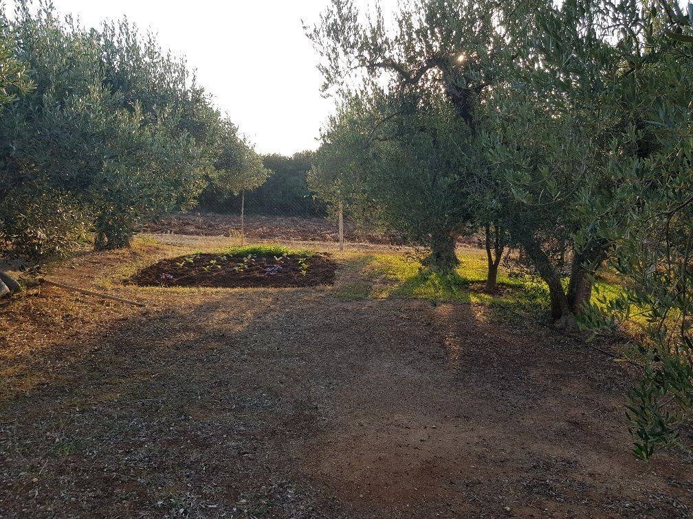 Detached - Grekodom 33651|512124