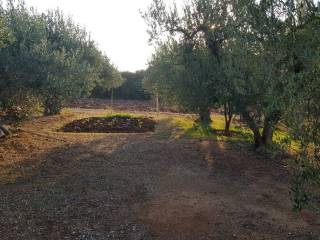 Detached - Grekodom 33651|512124