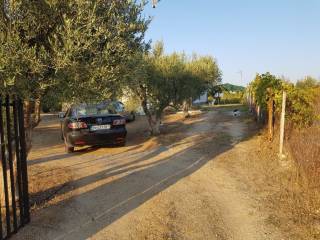 Detached - Grekodom 33651|512125