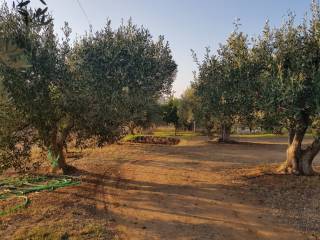 Detached - Grekodom 33651|512126